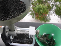 Presa ulei la rece extractie din alune de padure, arahide